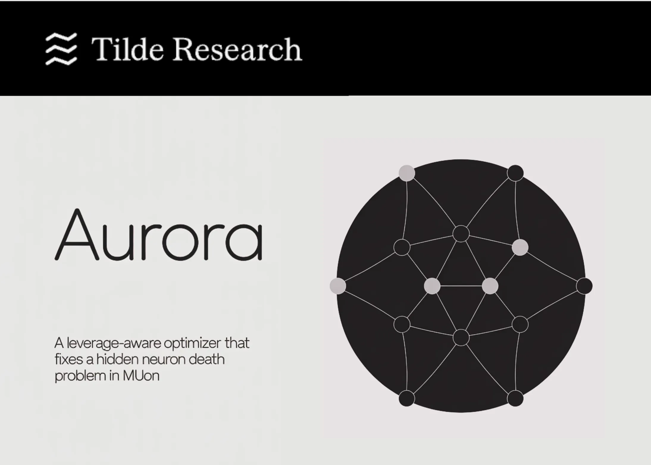 Tilde Research представила Aurora — оптимизатор, устраняющий «смерть нейронов» в Muon